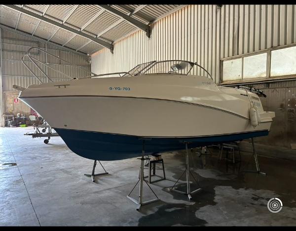 Quicksilver Cruiser