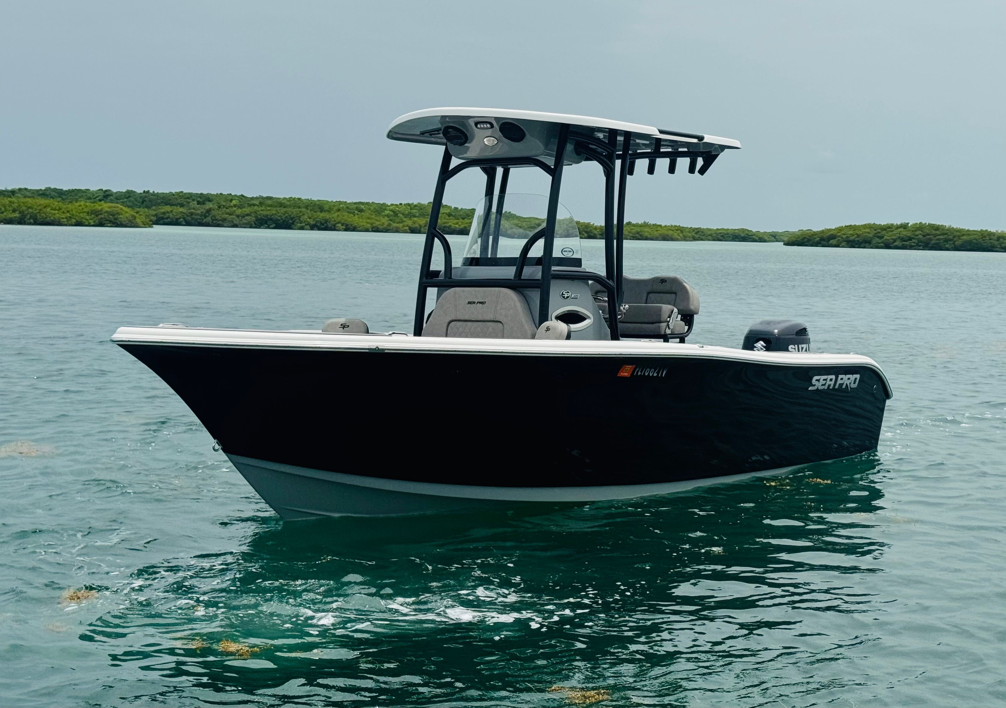 2024 Sea Pro 222