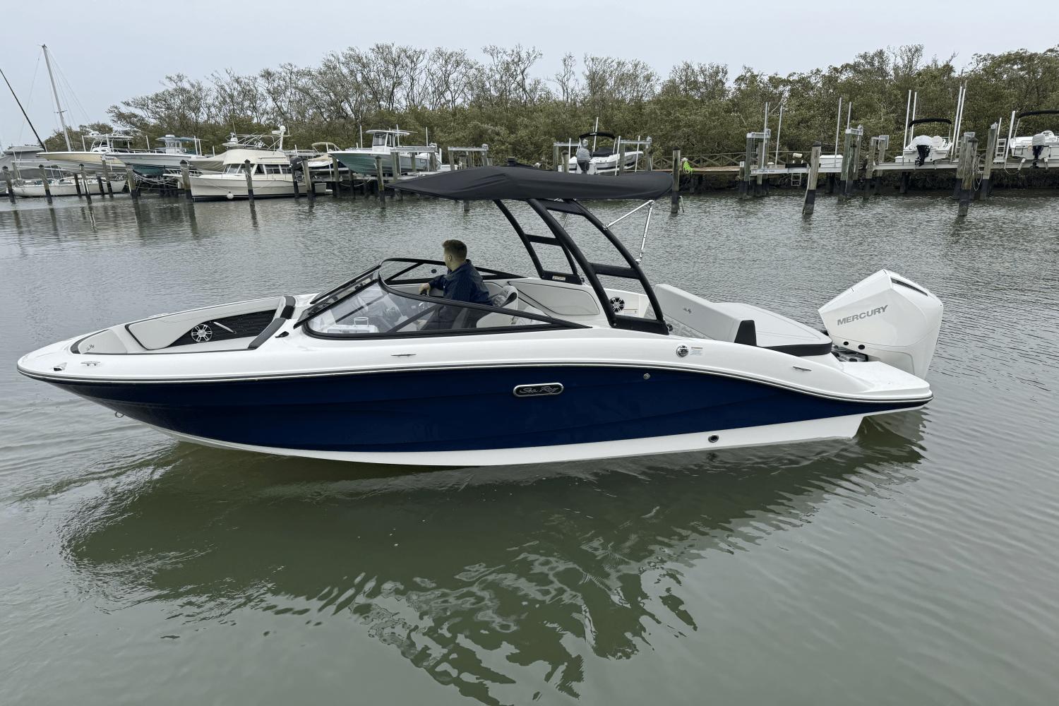 Sea Ray SPX 210 Outboard