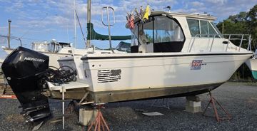 2008 Baha Cruisers 277 GLE OB