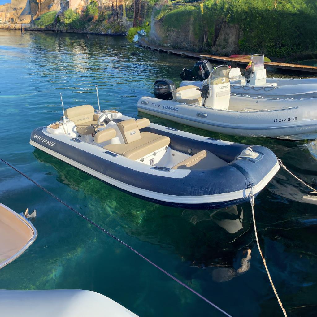 Williams Jet Tenders Turbojet 385 Williams 385 Turbojet