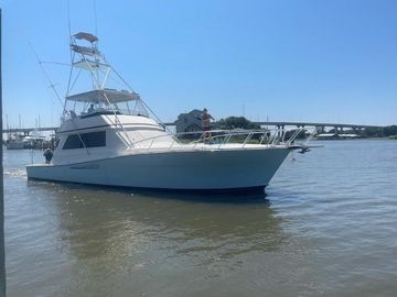 1990 Viking Convertible