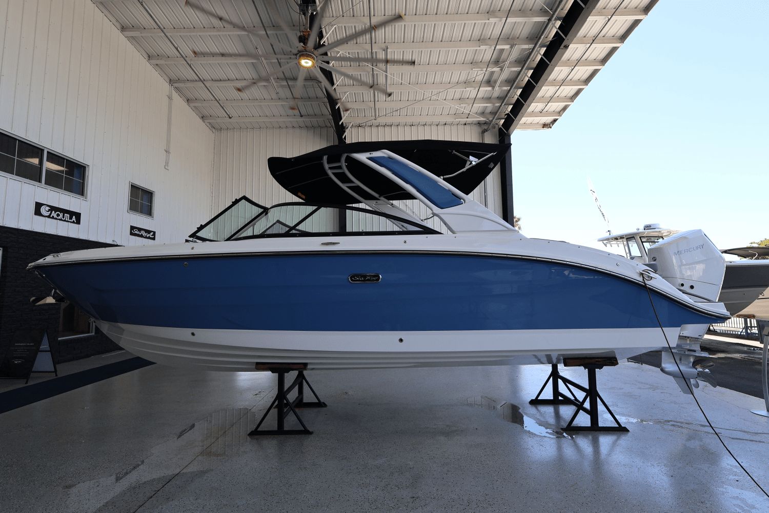 Sea Ray SDX 270 Outboard