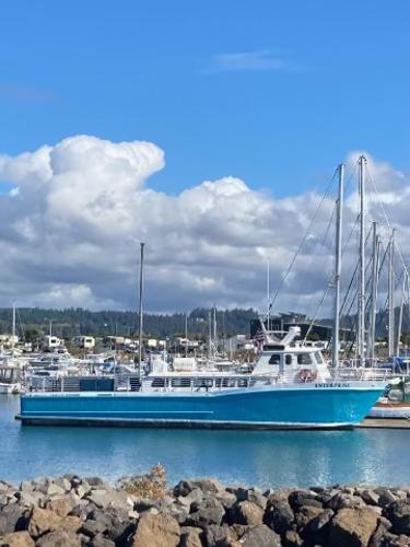 1983 Swiftships Charter Boat
