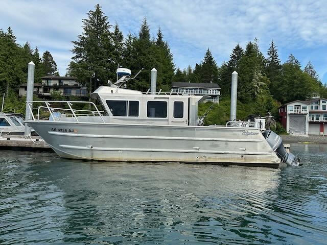 armstrong catamaran boats