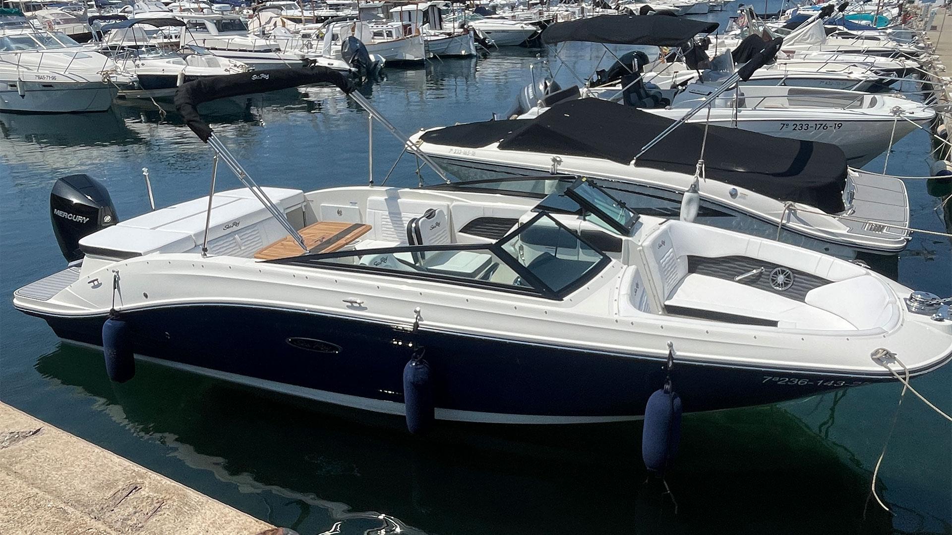 2025 Sea Ray SPX 230 OB