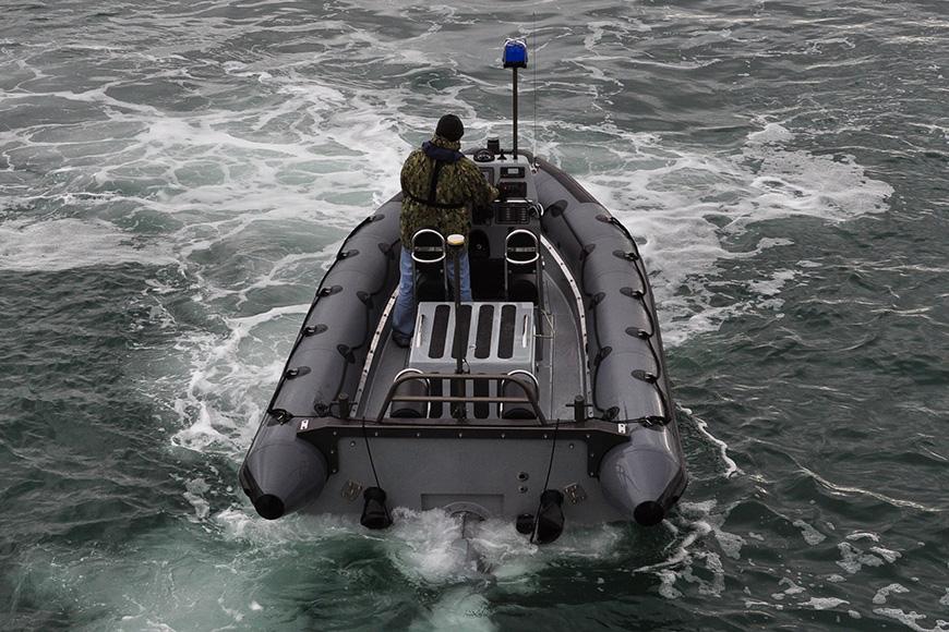 Ribcraft Boat image