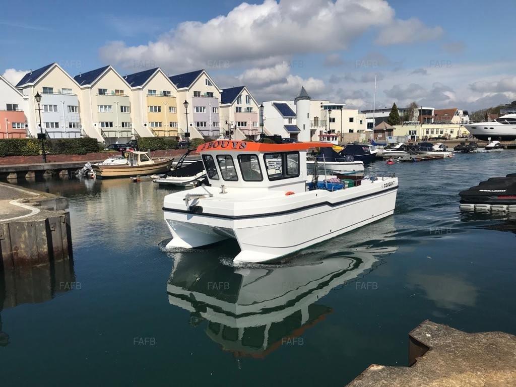 cougar catamaran uk