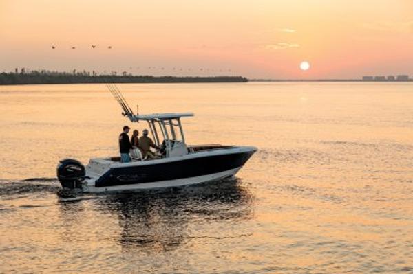 Robalo boats for sale in Canada 