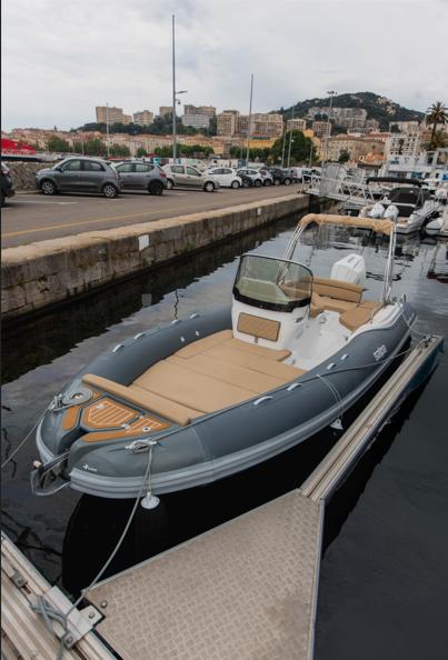 Salpa Soleil 23
