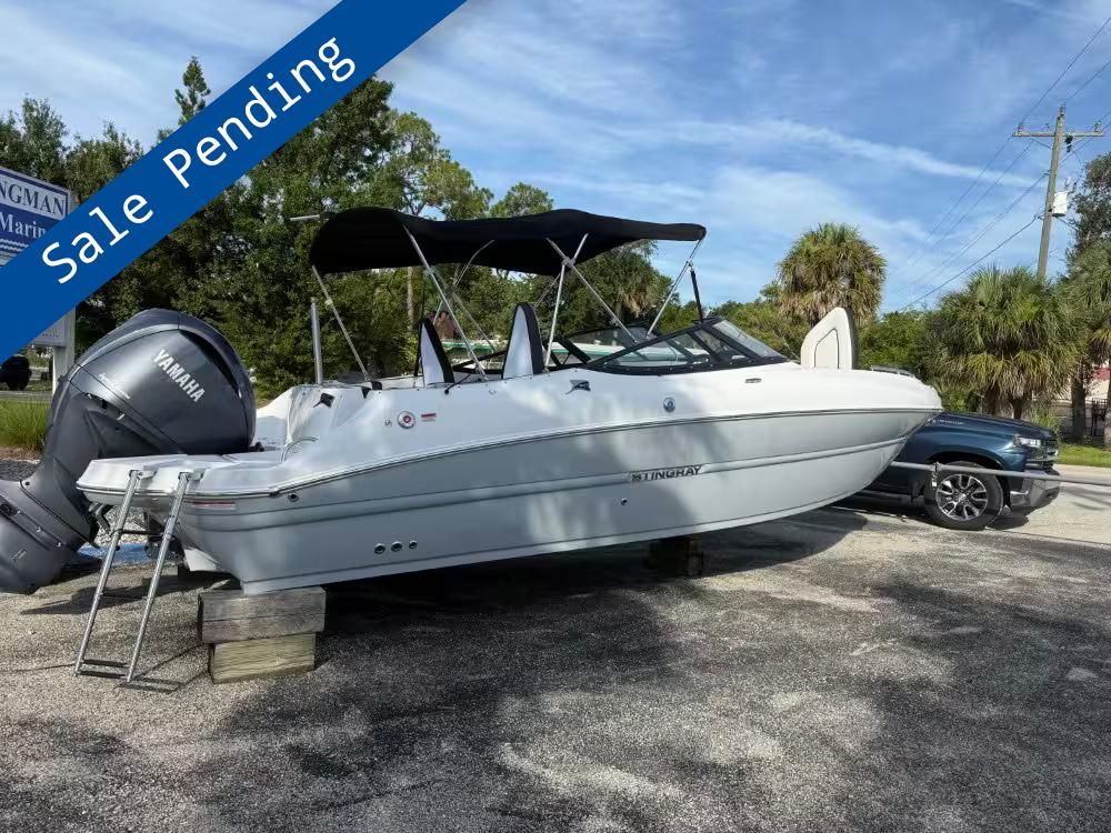 2025 Stingray 231 DC