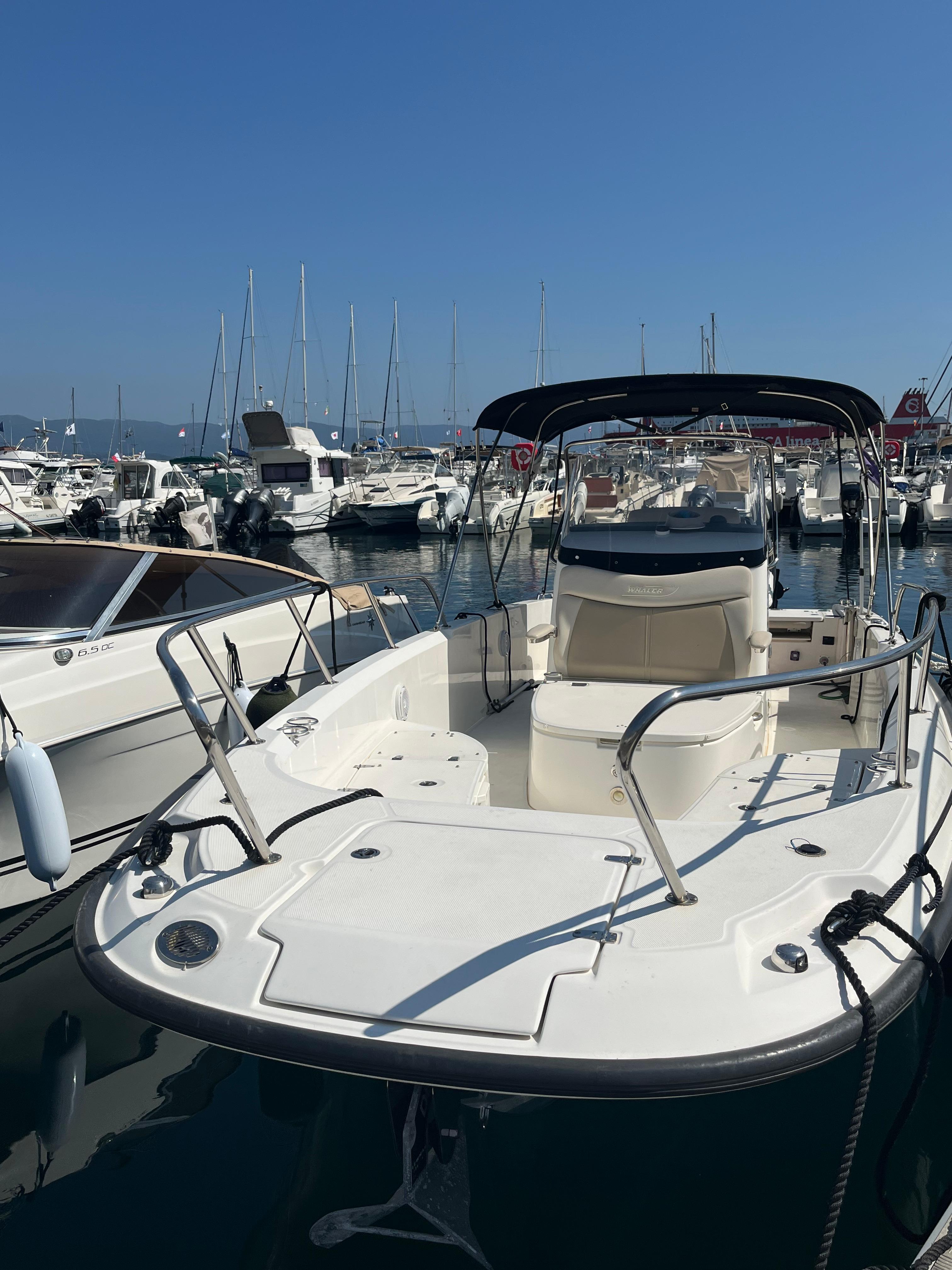 2018 Boston Whaler 270 Dauntless