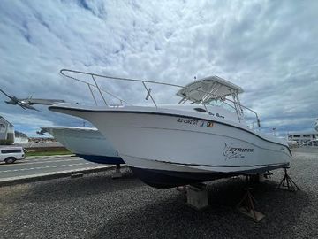 2003 Seaswirl Striper 2601 Walkaround O/B