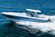 Intrepid 41 Panacea thumbnail