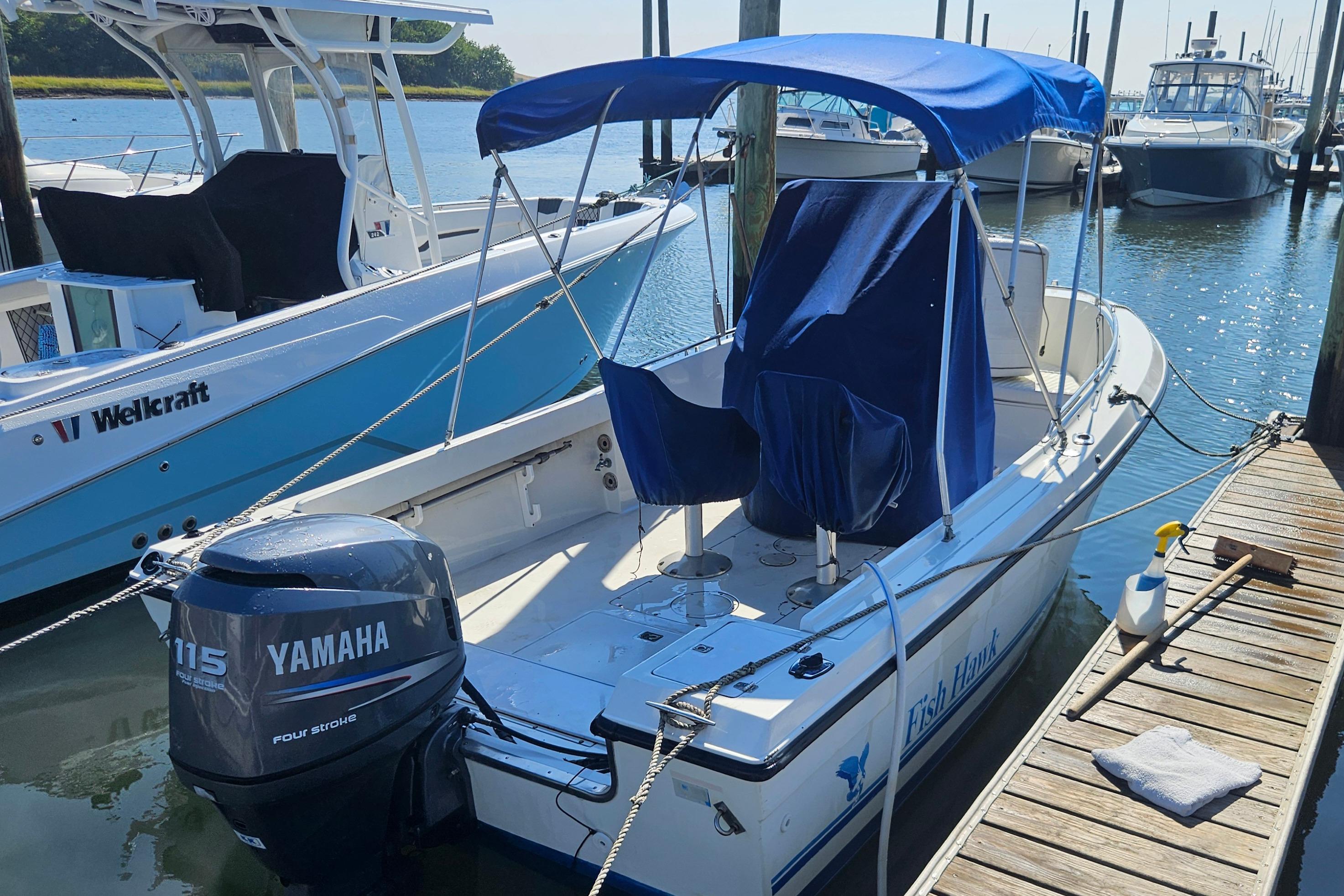 1994 Celebrity fish hawk 18
