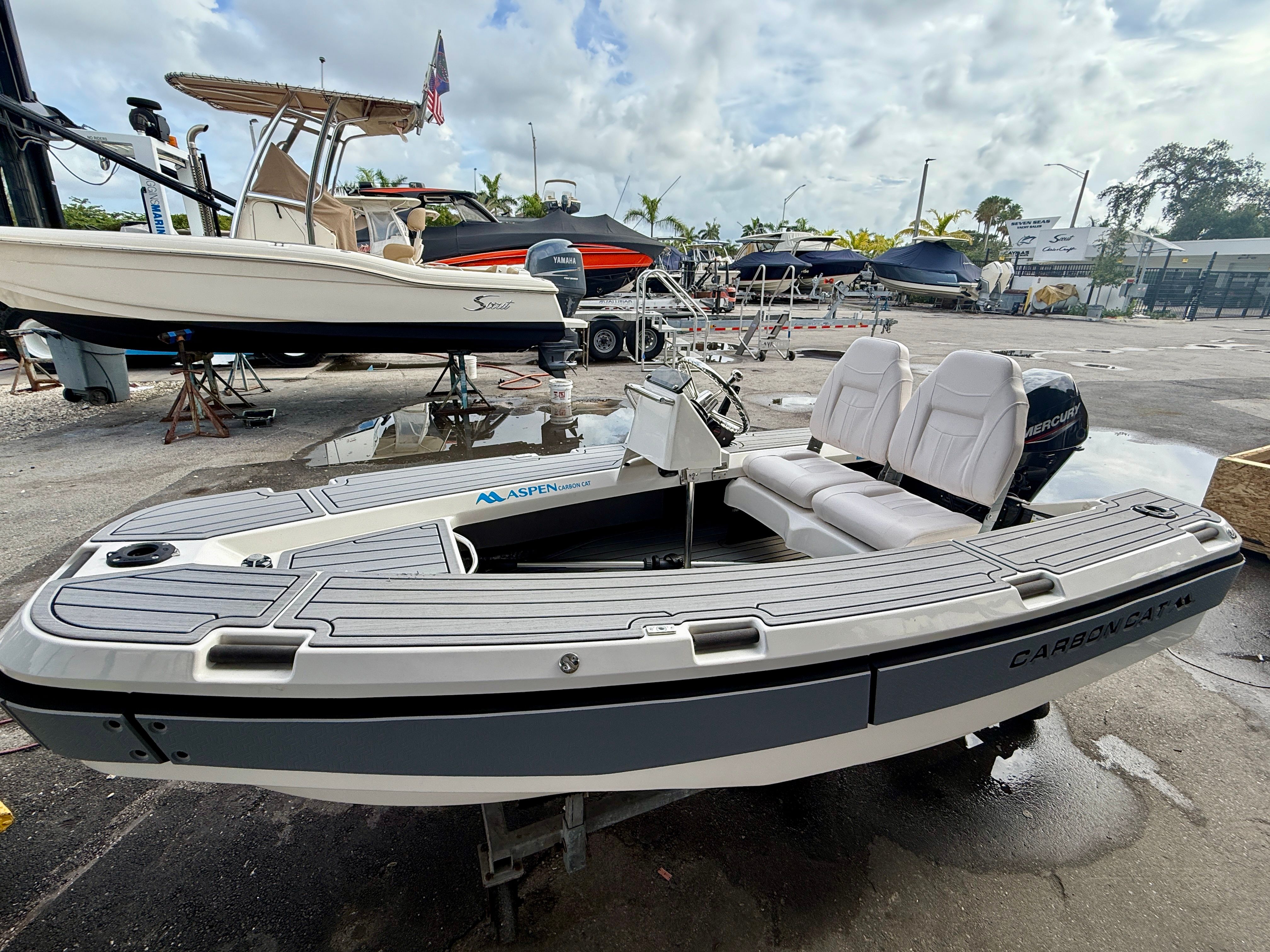 2025 Aspen Carbon Cat T11C