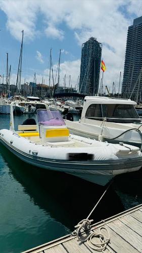 Brig Eagle 600