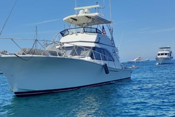 Jersey boats for sale 