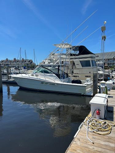2006 Rampage 38 Express