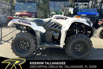 2025 Kawasaki Brute Force 450