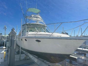 1995 Tiara Sport 3100