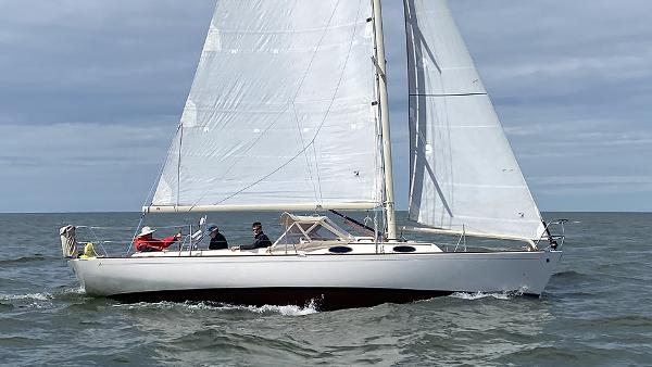 Alerion 33 HERON