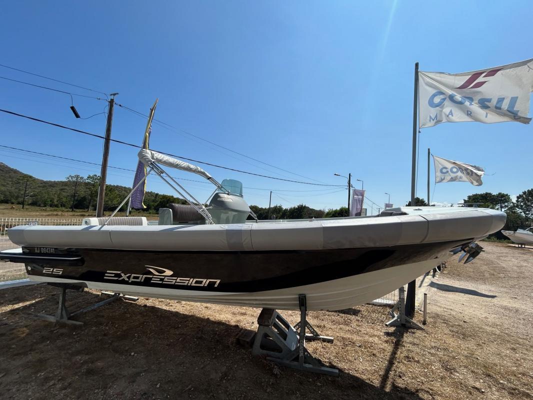2008 Expression 25