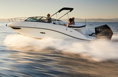 Sea Ray 230 Cuddy Cabin mit 150 PS