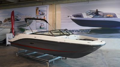 Sea Ray 230 SPO Outboard mit 225 PS