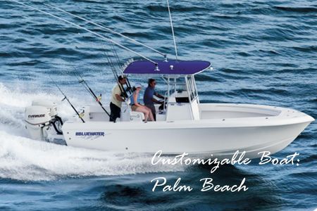 2023 Bluewater Sportfishing 23t, Palm Beach United States - boats.com