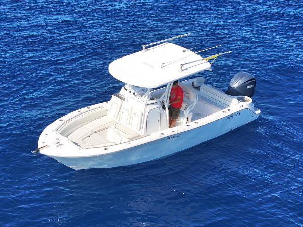 Sea Fox 249 Avenger