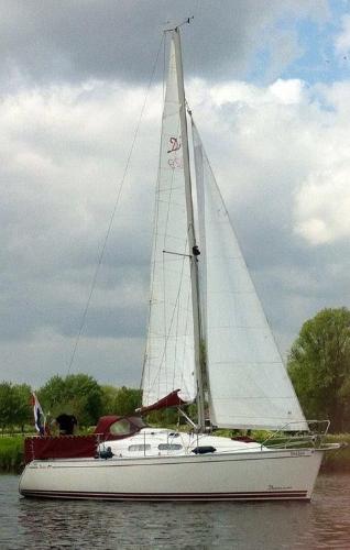 Delphia 29