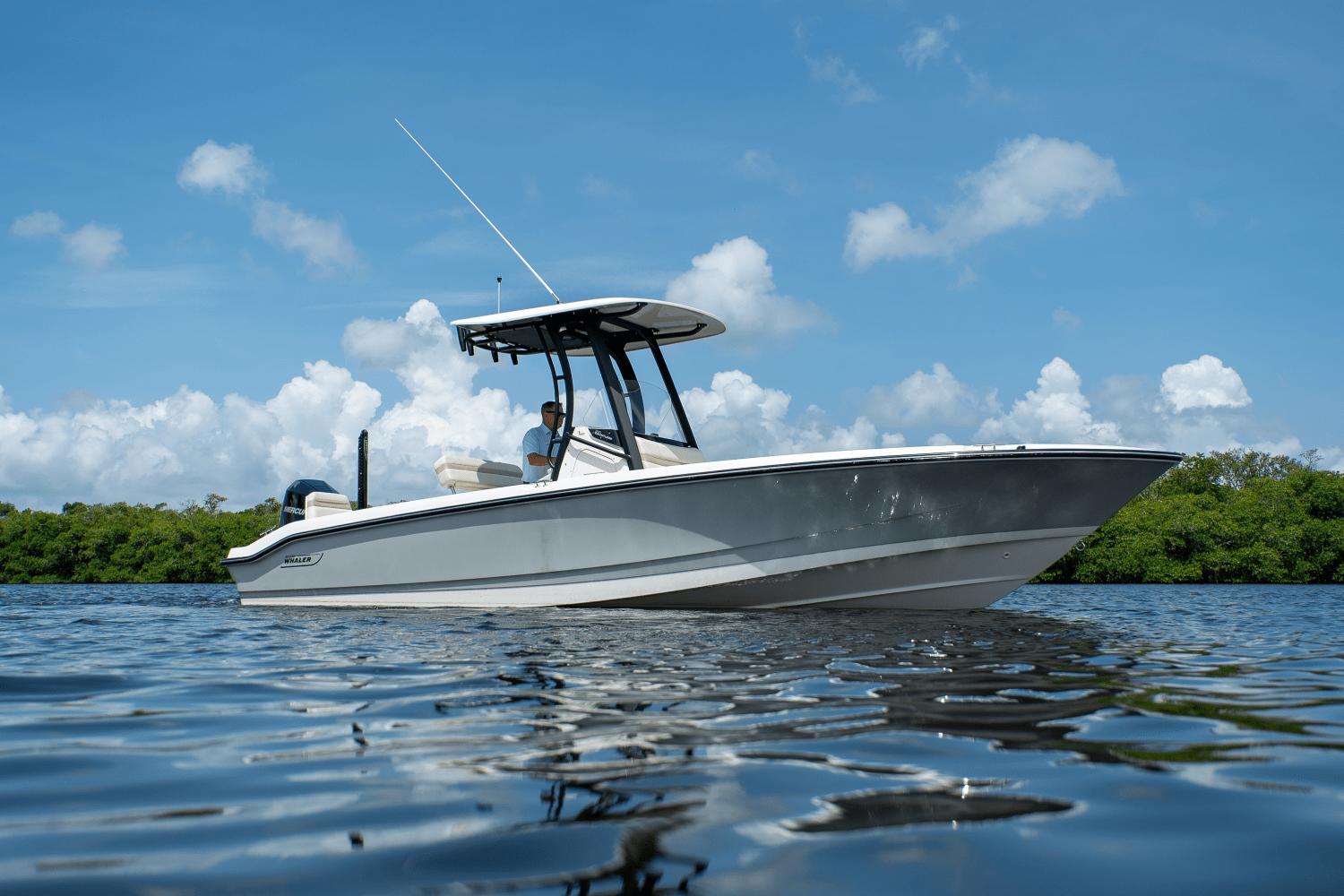 2025 Boston Whaler 250 Dauntless