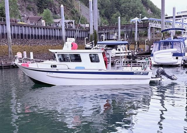 1998 Silver Streak Cuddy Cabin