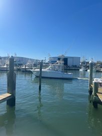 2004 Luhrs Open