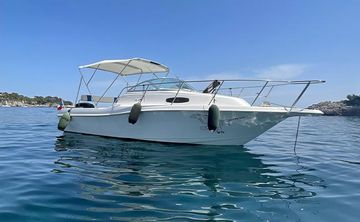 1995 Wellcarft EXCEL 23 WA