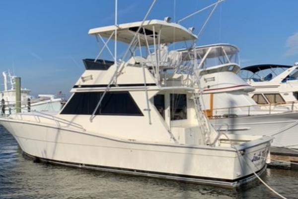 1988 Viking Boats 41 Convertible