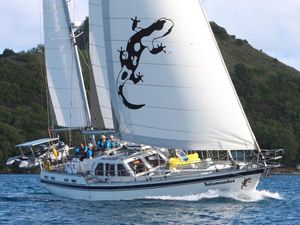 Nauticat 521 Sailing yacht Nauticat 521, 1987 model, with salamander design on sails, cruising in open water.