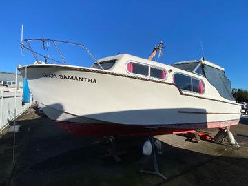 1973 Freeman 26