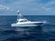 Viking 54 Sport Tower (54-912) thumbnail