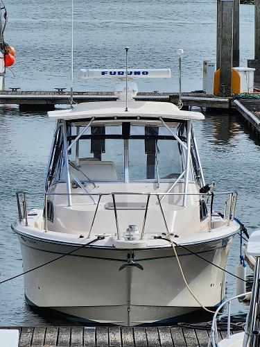 Buy Bass Pro 30 Remote Control Fishing Boat Online at desertcartCyprus