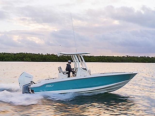 2025 Boston Whaler 250 Dauntless