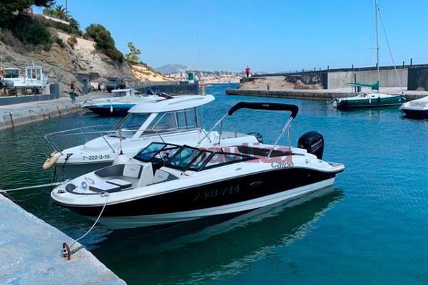Sea Ray SPX 210 Outboard
