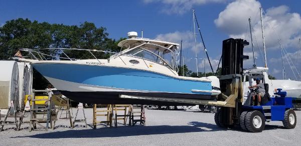 2010 Scout 262 Abaco