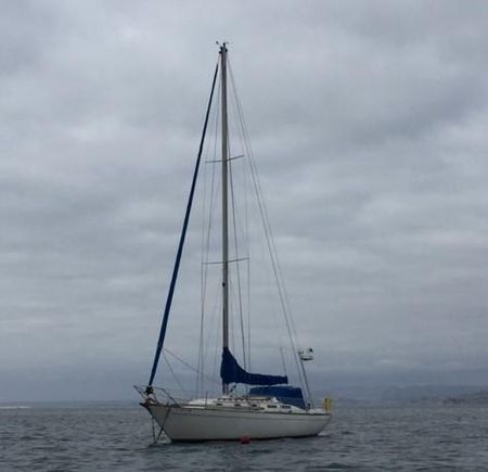 1972 Islander 36 Oxnard California Boats Com