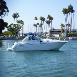 2001 Monterey 302 Cruiser
