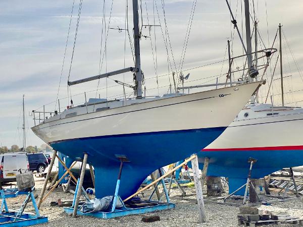 Contessa 32 shop for sale