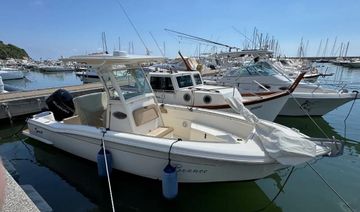 2013 Scout Scout 245 XSF