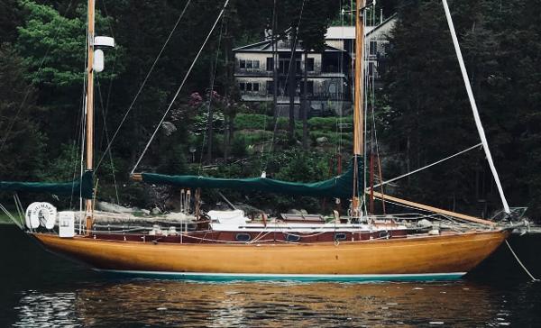 Concordia 41