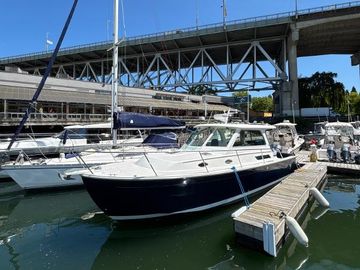 2008 Back Cove 33